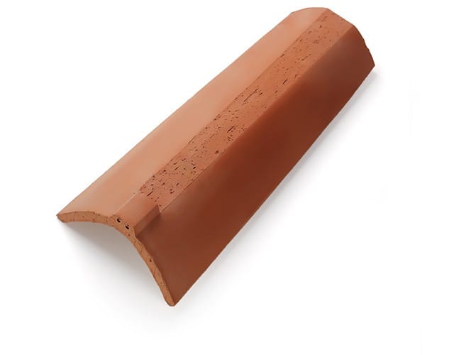 Coppo artico con dente